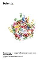 Evaluering av treparts bransjeprogram som arbeidsform