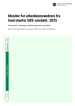 Monitor for arbeidsinnvandrere fra land utenfor EØS-området. 2025